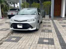 Toyota Axio 2018 Car