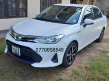 Toyota Axio 2018 Car