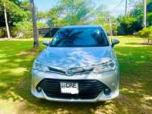 Toyota Axio 2018 Car