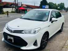 Toyota Axio 2018 Car