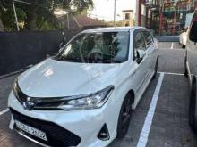 Toyota Axio 2018 Car