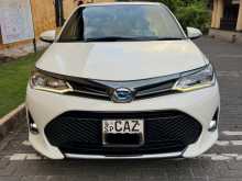 Toyota Axio 2018 Car