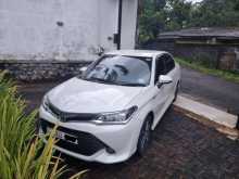 Toyota Axio 2017 Car
