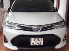 Toyota Axio 2018 Car