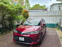 Toyota Axio WXB 2018 Car