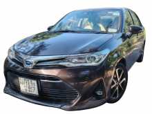Toyota Axio Limited Edition 2018 Car