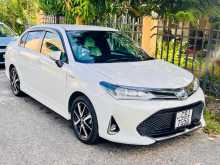 Toyota Axio 2018 Car