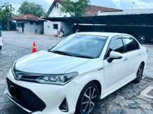Toyota Axio 2018 Car