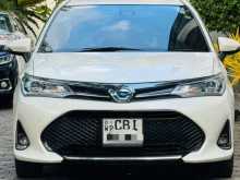 Toyota Axio 2019 Car