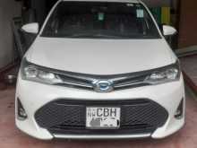 Toyota Axio 2019 Car