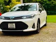 Toyota Axio 2019 Car