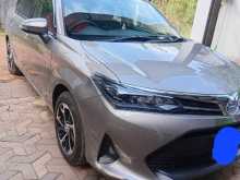 Toyota Axio 2023 Car