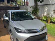 Toyota Axio 2023 Car