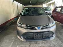 Toyota Axio 2023 Car