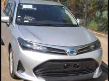 Toyota Axio 2024 Car