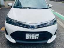 Toyota Axio 2024 Car
