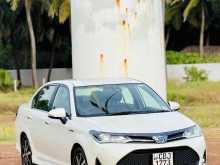 Toyota Axio 2018 Car
