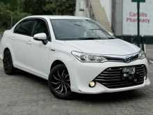 Toyota Axio 2017 Car