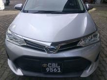 Toyota Axio 2019 Car