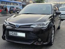 Toyota Axio 2015 Car