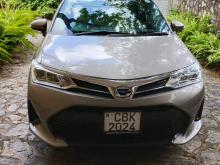Toyota Axio 2017 Car