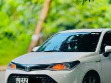 Toyota Axio 2017 Car