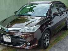Toyota Axio 2015 Car