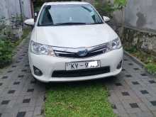 Toyota Axio 2014 Car