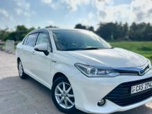 Toyota Axio 2016 Car