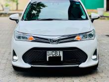Toyota Axio 2017 Car