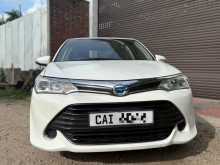 Toyota Axio 2015 Car