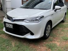 Toyota Axio 2015 Car