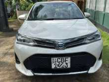 Toyota Axio 2018 Car