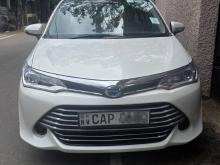 Toyota Axio 2016 Car