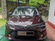 Toyota Axio 2015 Car