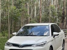 Toyota Axio 2017 Car