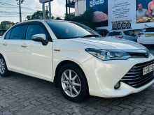 Toyota Axio G Grade 2016 Car