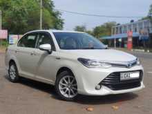 Toyota Axio 2015 Car
