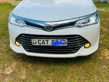 Toyota Axio 2017 Car