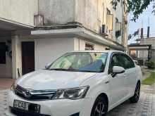 Toyota Axio 2014 Car