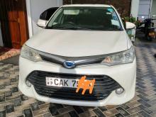 Toyota Axio 2015 Car