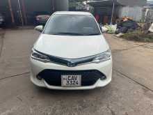 Toyota Axio 2016 Car