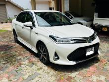Toyota Axio 2017 Car