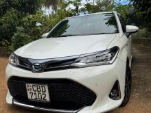 Toyota Axio WXB 2018 Car
