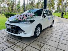 Toyota Axio 2015 Car