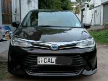 Toyota Axio 2015 Car