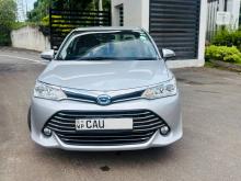 Toyota Axio 2016 Car