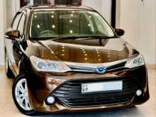 Toyota Axio 2017 Car