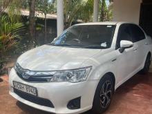 Toyota Axio 2015 Car