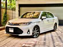 Toyota Axio 2018 Car
